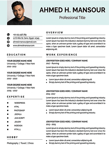 Resume template 3